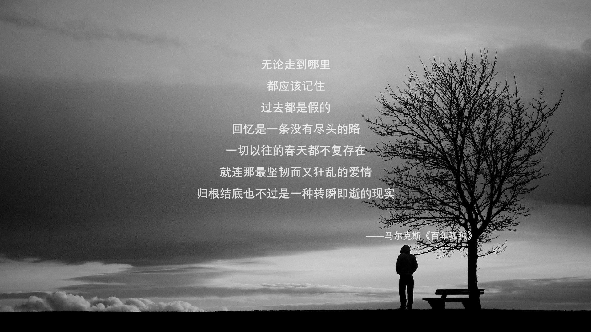 乐鱼体育app在线登录-德甲球队集成AI视频分析系统定位中后场传接失误规律，德甲转播技术