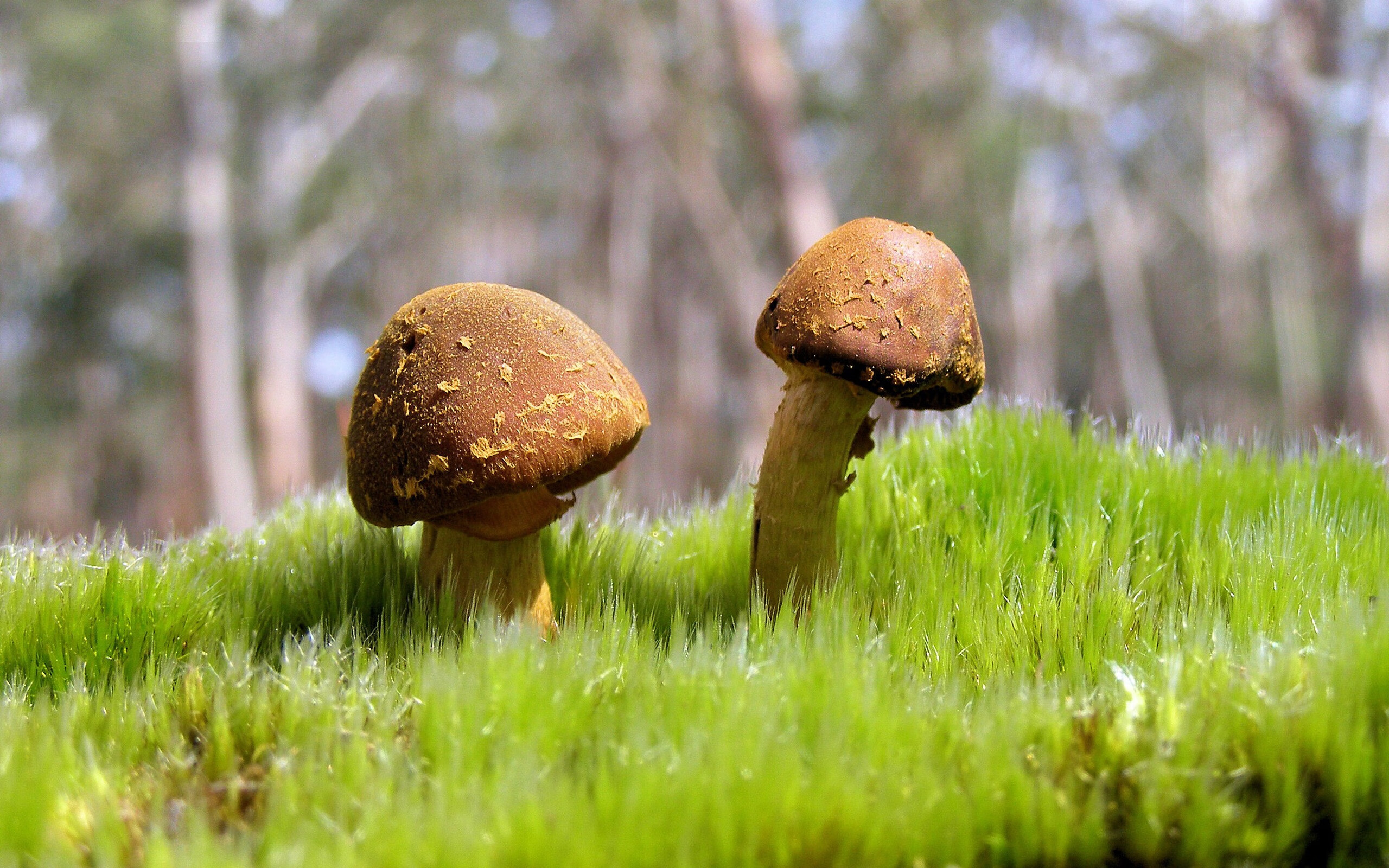 乐鱼体育在线登陆-“沙滩排球：高新体育中心赛场的速度与力量比拼”