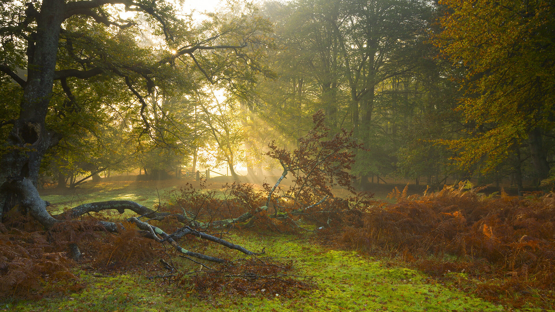 中国男篮保持高强度训练备战国际赛事，中国男篮规划