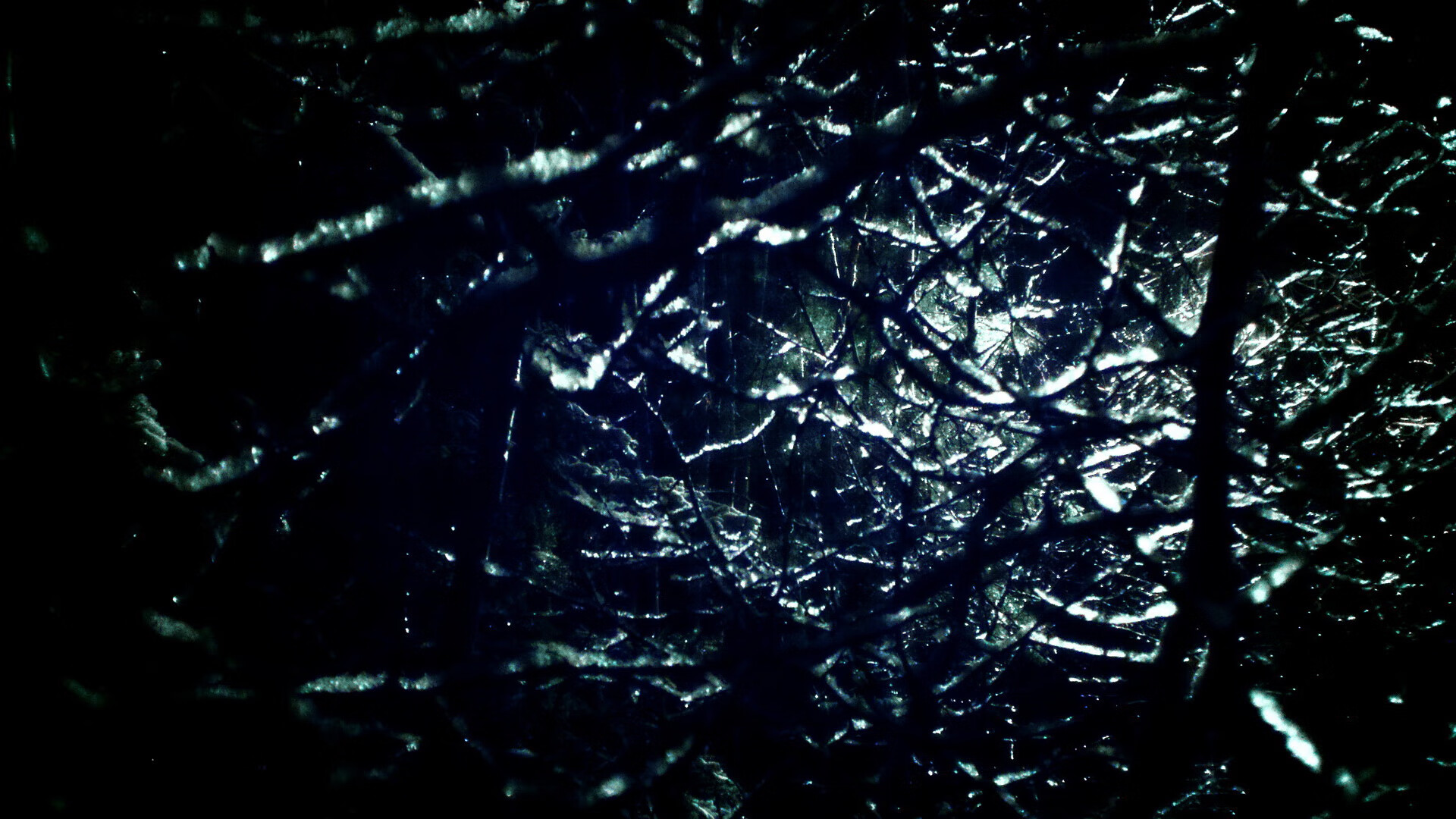 乐鱼体育官网下载-体育新闻中心推动基层体育内容数字化转型，体育信息化建设