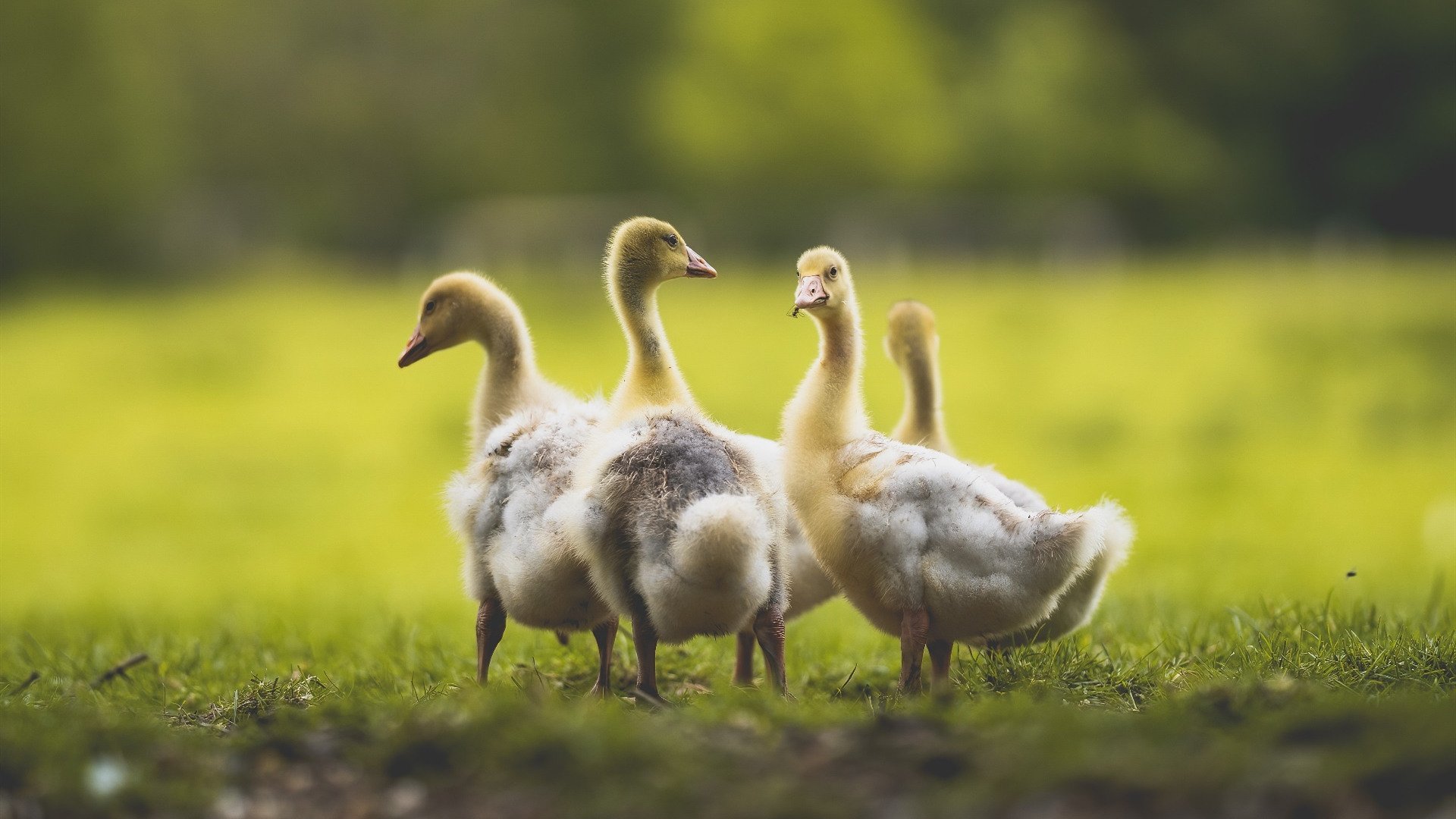 全国青少年体能挑战赛覆盖更多城市，青少年体能比赛