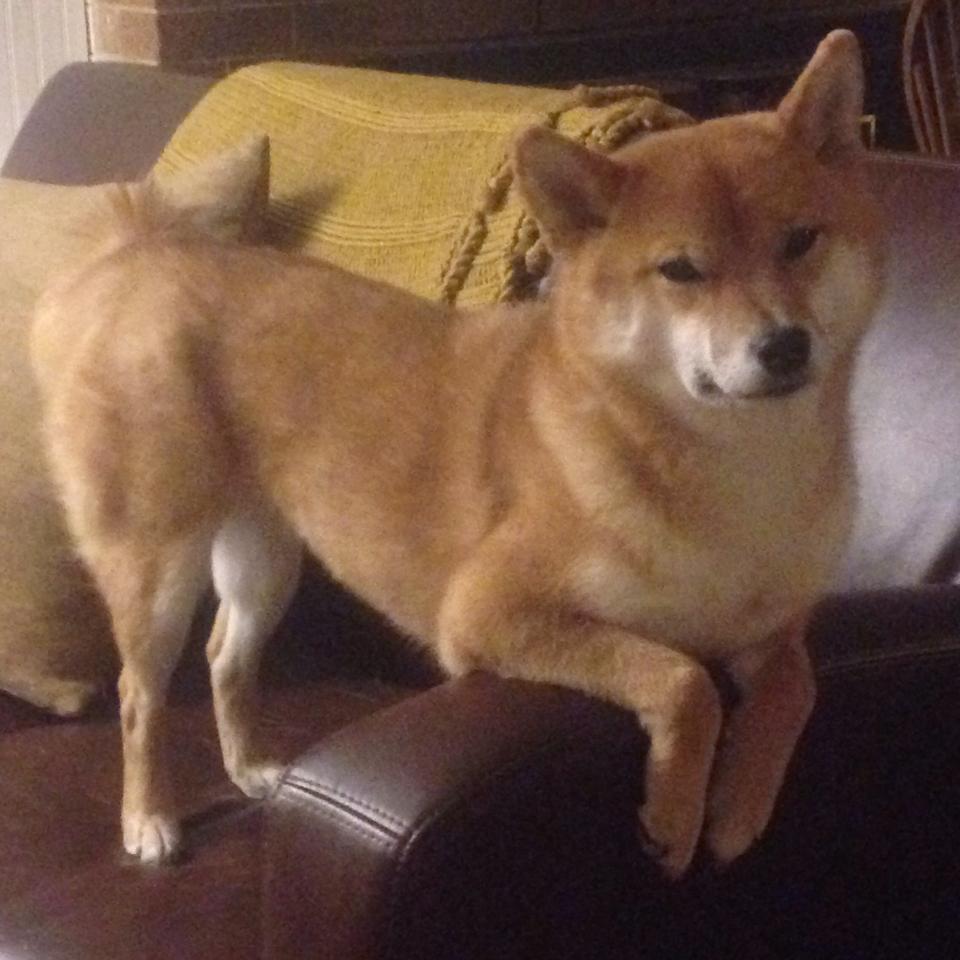 国际热身赛国足战平 技术执行趋于成熟,国足敲定热身赛对手