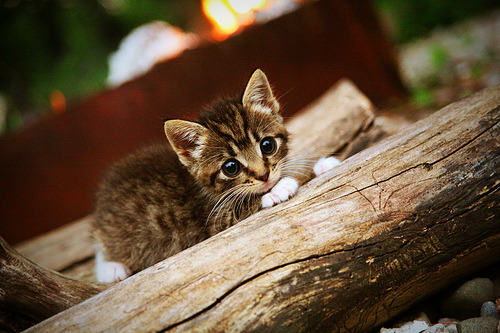 乐鱼体育登录入口-控球节奏失衡是否导致下半场控场能力下降，控球节奏训练