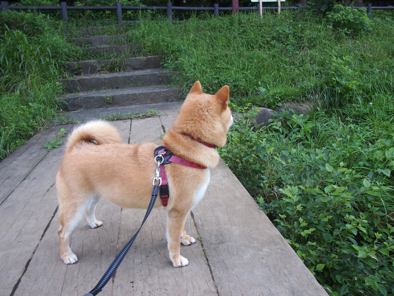 羽毛球选手专项心理辅导提升临场表现,羽毛球学员