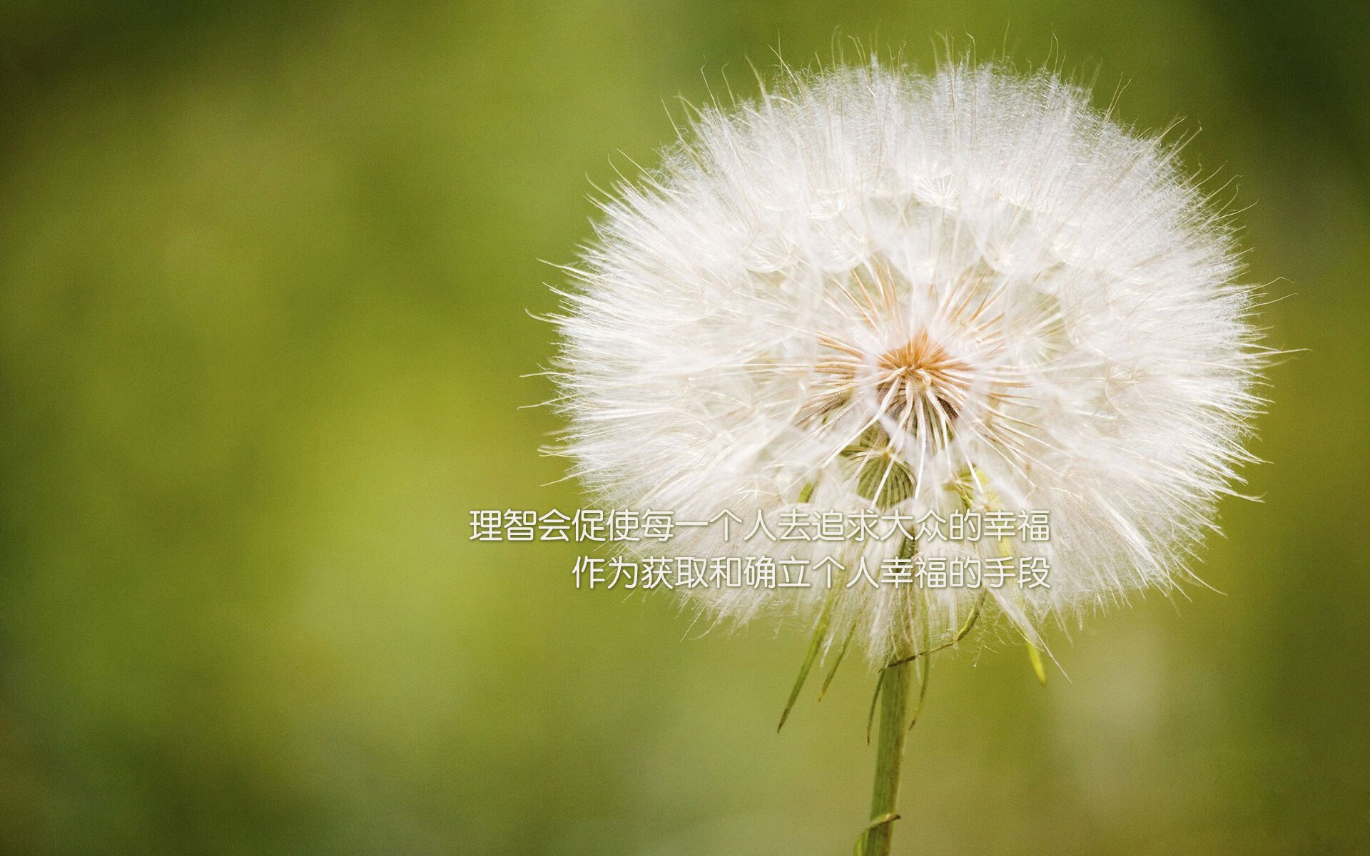 自由泳短距离德国选手表现积极,自由泳世界第一