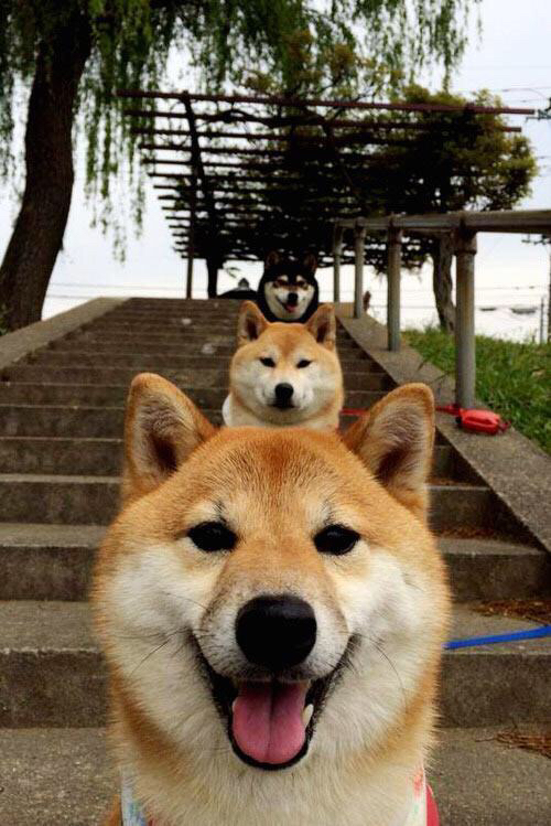 世界杯点球大战：紧张刺激，终极决战，世界杯点球大赛