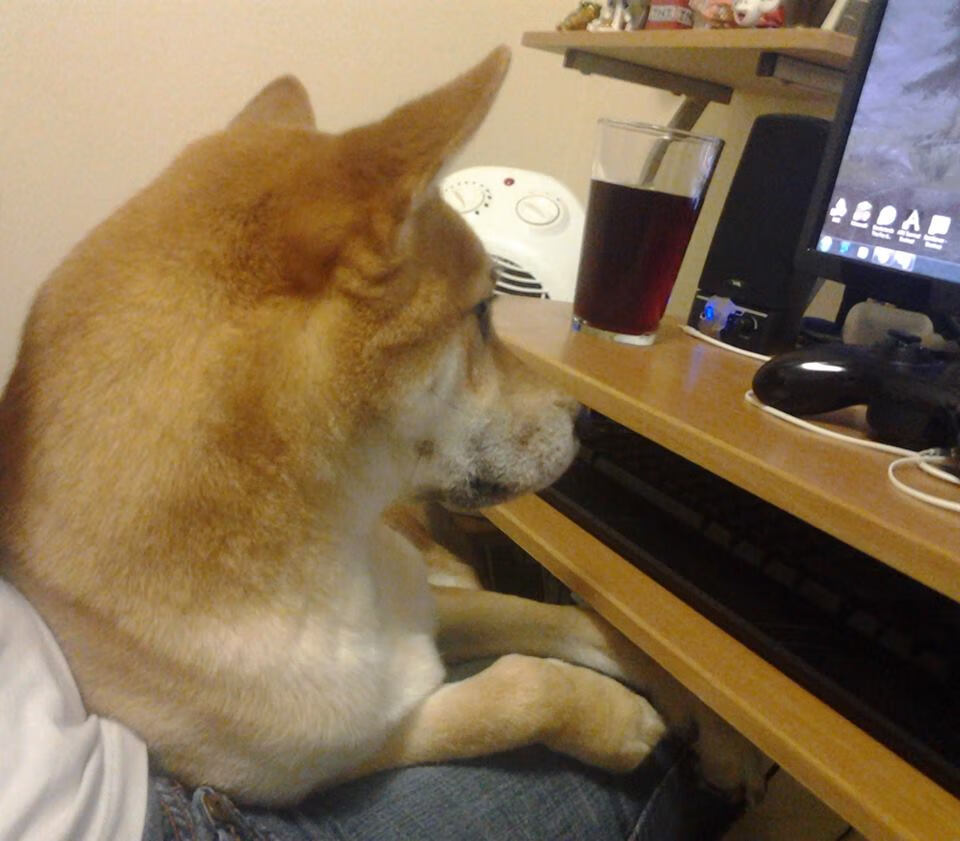 乔治加强三分训练提升外线威胁力，乔治训练集锦