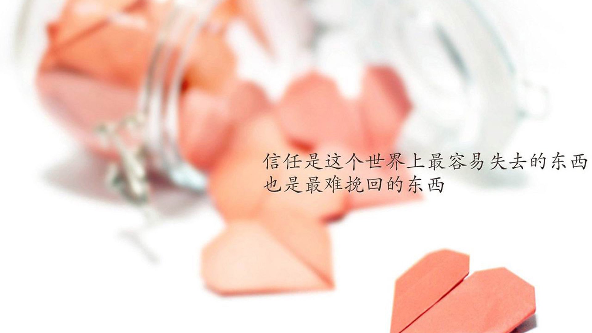 体育新闻中心公布体育直播转播权合作细则,体育转播网站有哪些